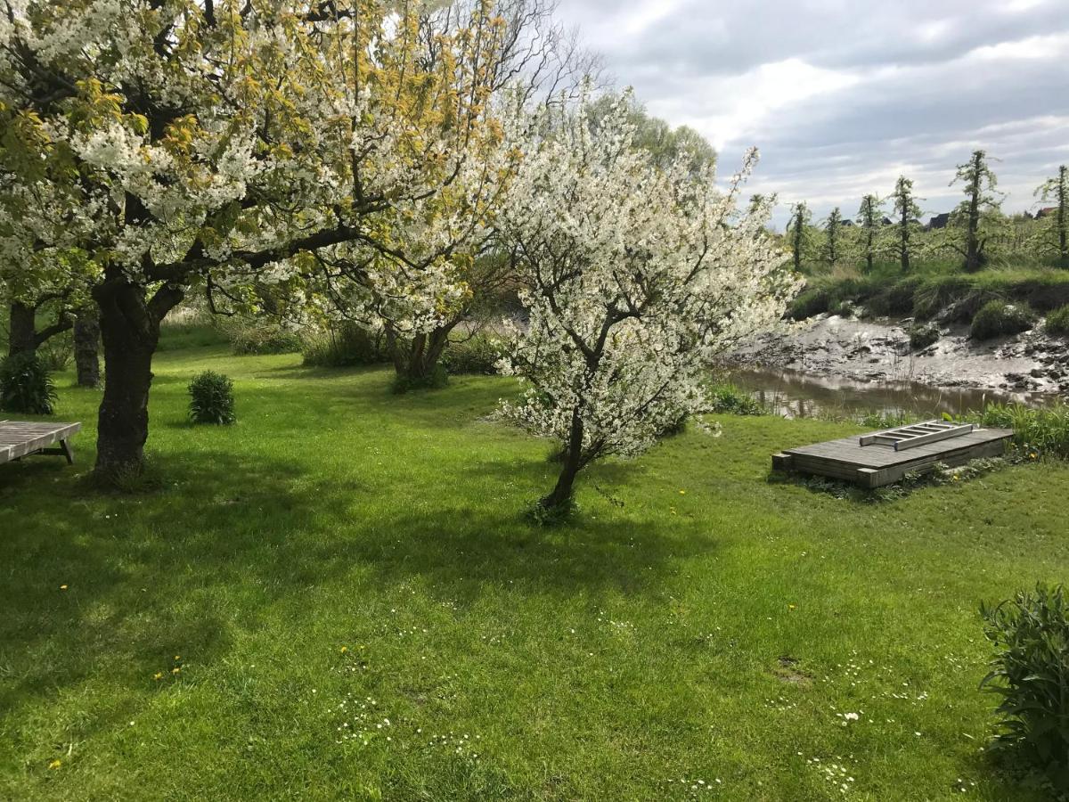 Gaestehaus Weidenkoerbchen Jork Esterno foto